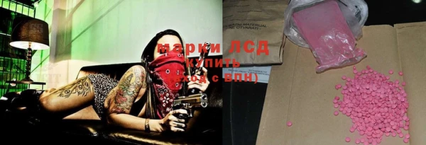 ПСИЛОЦИБИНОВЫЕ ГРИБЫ Тавда